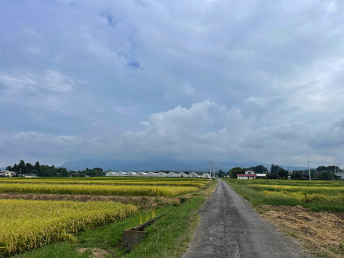 9月15日(金)　AM 9:04　前橋市苗ケ島町