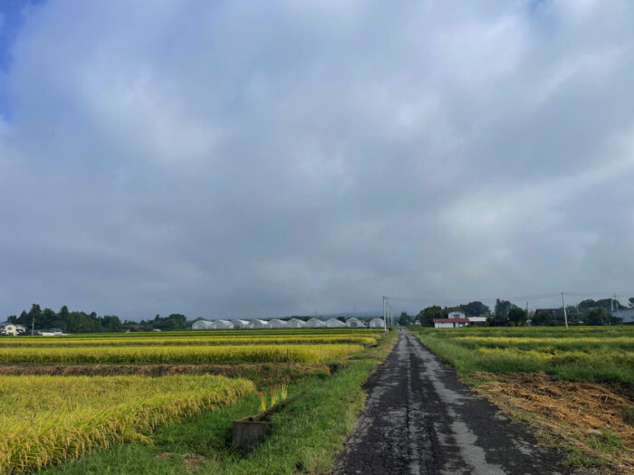 9月16日(土)　AM 7:51　前橋市苗ケ島町