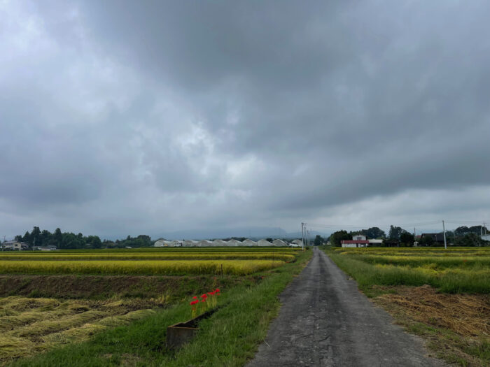 9月18日(月)　AM 9:01　前橋市苗ケ島町