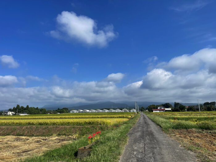 9月19日(火)　AM 8:36　前橋市苗ケ島町