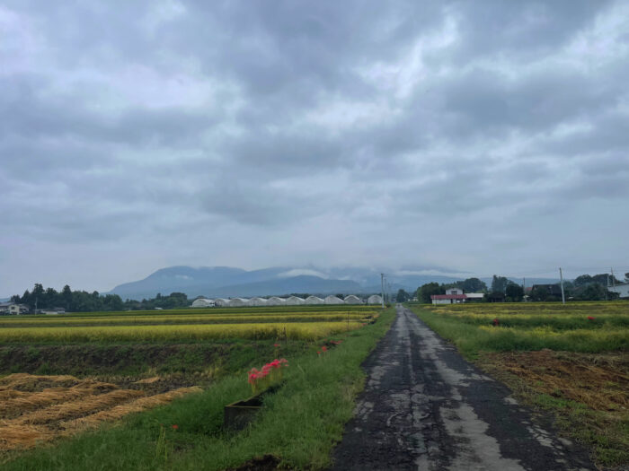 9月21日(木)　AM 8:33　前橋市苗ケ島町