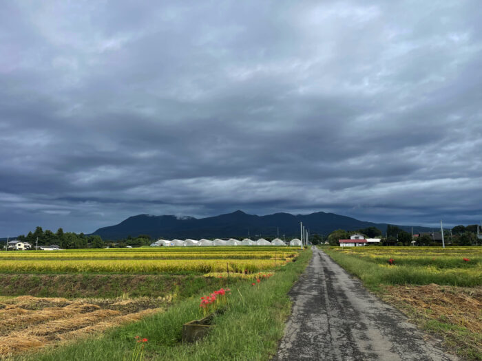 9月22日(金)　AM 9:00　前橋市苗ケ島町