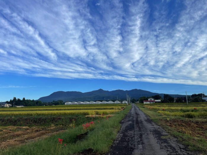 9月24日(日)　AM 7:01　前橋市苗ケ島町