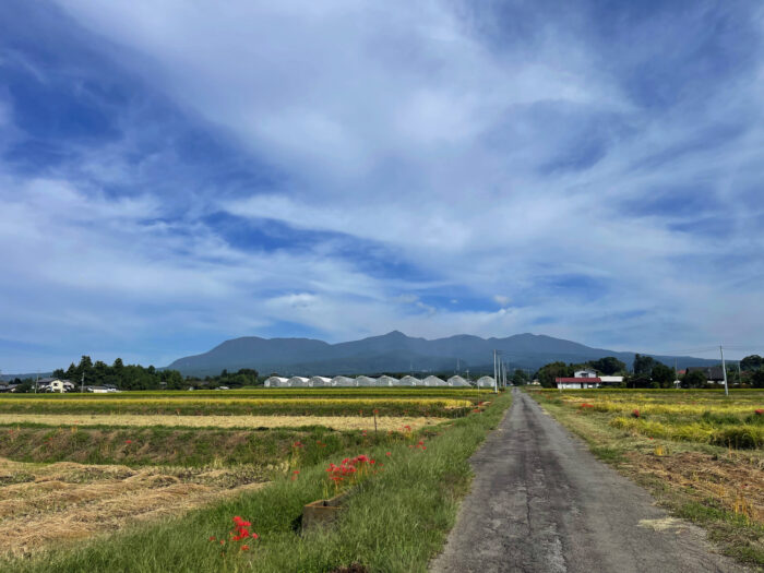 9月25日(月)　AM 8:56　前橋市苗ケ島町