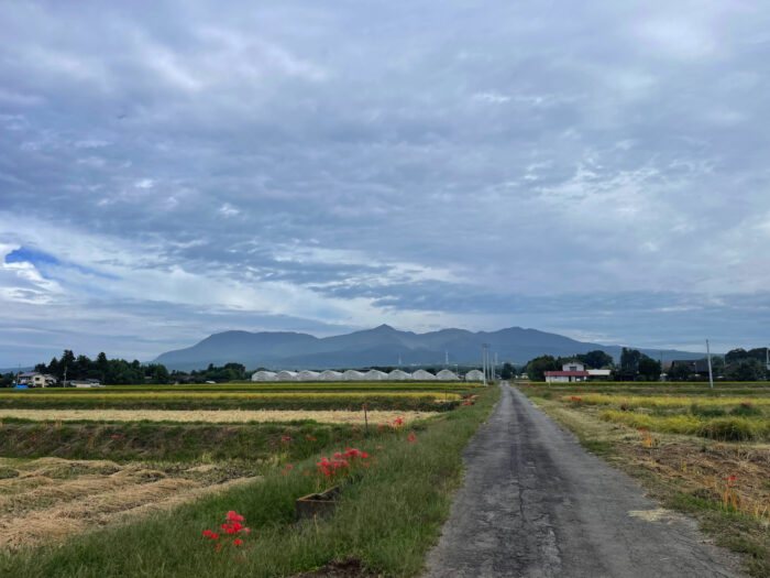 9月26日(火)　AM 8:53　前橋市苗ケ島町