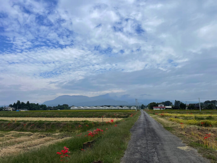 9月27日(水)　AM 9:22　前橋市苗ケ島町