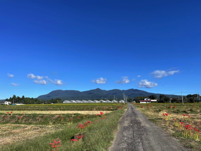 9月29日(金)　AM 8:27　前橋市苗ケ島町