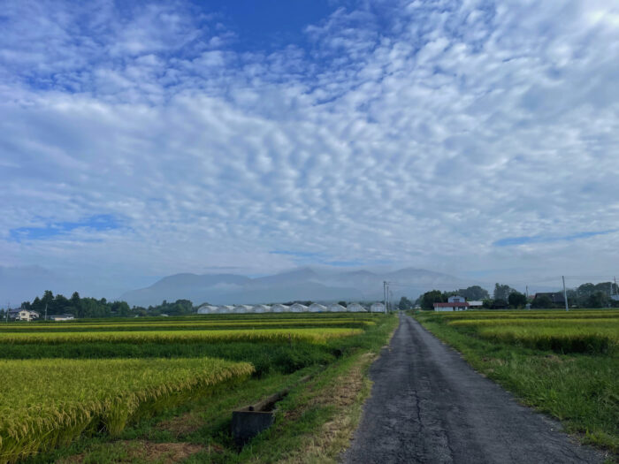 9月5日(火)　AM 7:05　前橋市苗ケ島町