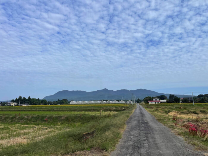 10月8日(日)　AM 8:19　前橋市苗ケ島町