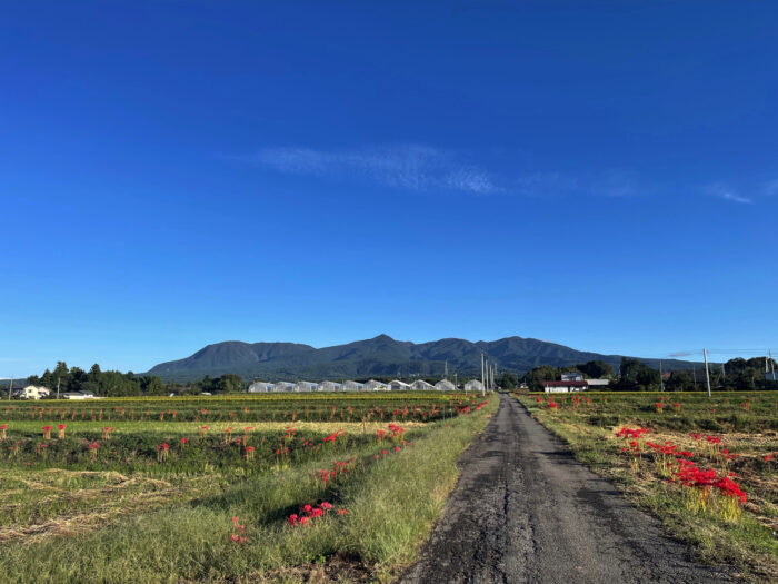 10月2日(月)　AM 7:00　前橋市苗ケ島町