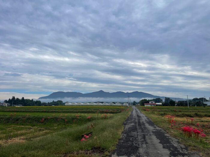 10月5日(木)　AM 8:39　前橋市苗ケ島町