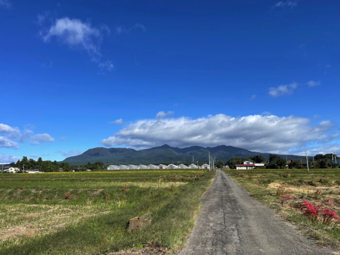 10月6日(金)　AM 8:39　前橋市苗ケ島町