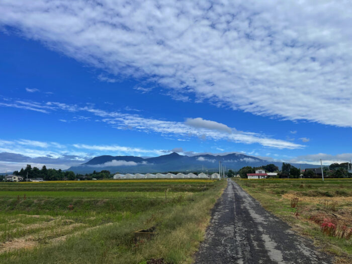 10月10日(火)　AM 9:46　前橋市苗ケ島町