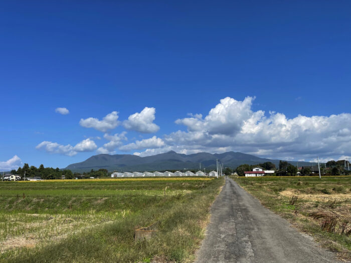 10月12日(木)　AM 9:46　前橋市苗ケ島町