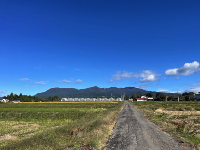 10月16日(月)　AM 8:47　前橋市苗ケ島町