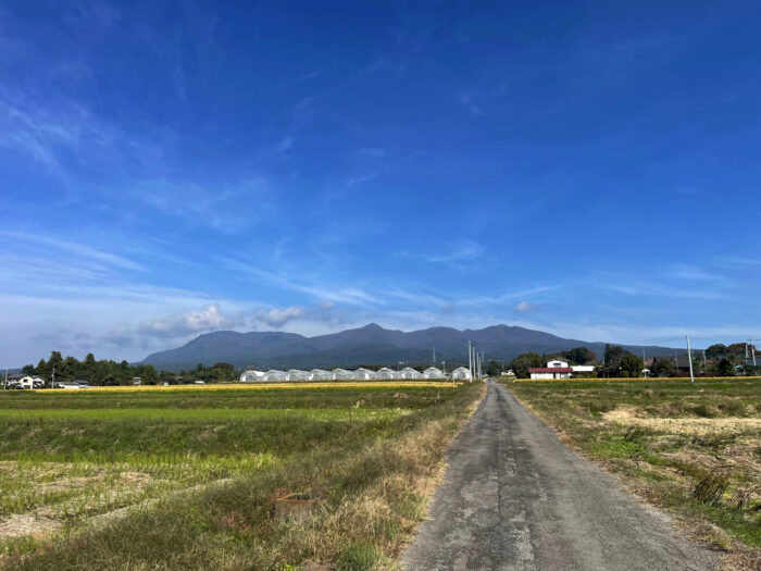 10月19日(木)　AM 9:36　前橋市苗ケ島町