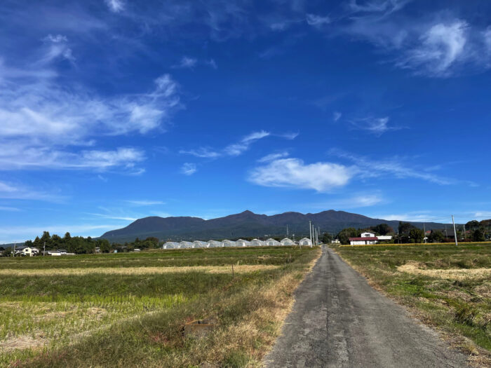 10月23日(月)　AM 8:56　前橋市苗ケ島町