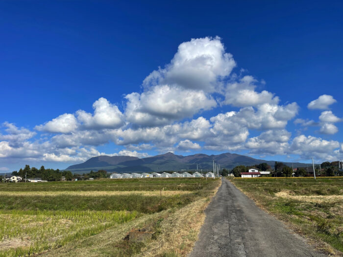 10月24日(火)　AM 8:54　前橋市苗ケ島町