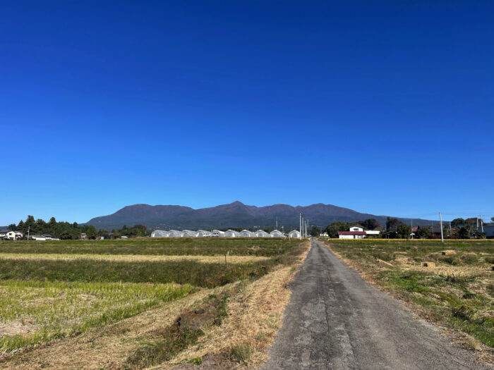 10月26日(木)　AM 9:16　前橋市苗ケ島町