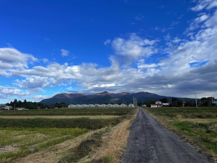 10月29日(日)　AM 8:11　前橋市苗ケ島町