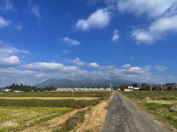10月31日(火) AM 9:21 前橋市苗ケ島町