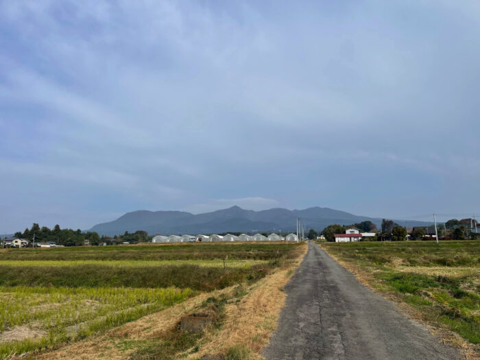 11月2日(木)　AM 9:15　前橋市苗ケ島町