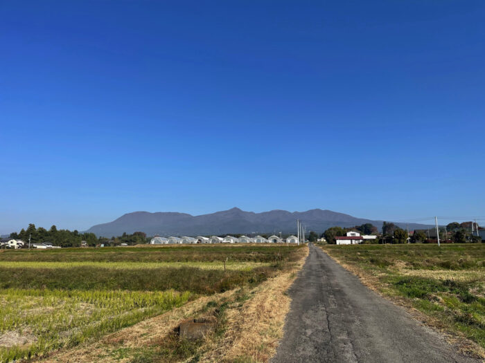 11月3日(金)　AM 8:43　前橋市苗ケ島町