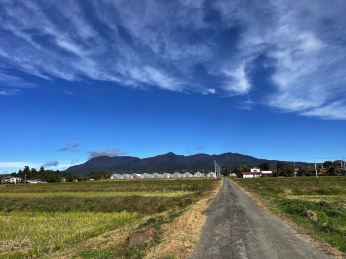 11月11日(土)　AM 9:32　前橋市苗ケ島町