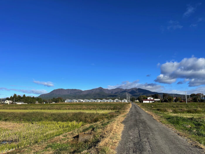 11月14日(火)　AM 8:16　前橋市苗ケ島町