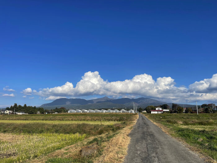 11月15日(水)　AM 9:16　前橋市苗ケ島町