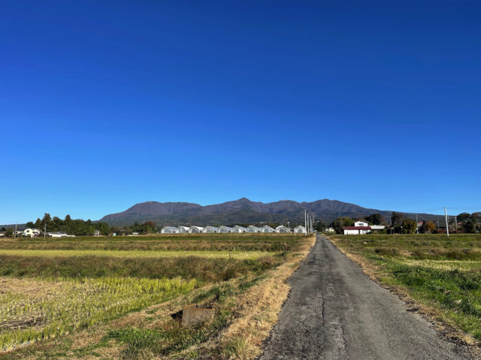 11月18日(土)　AM 8:26　前橋市苗ケ島町