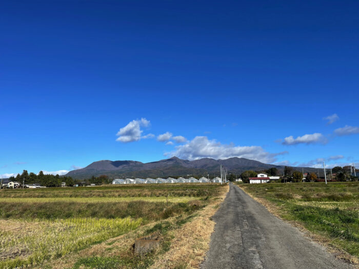 11月19日(日)　AM 9:22　前橋市苗ケ島町