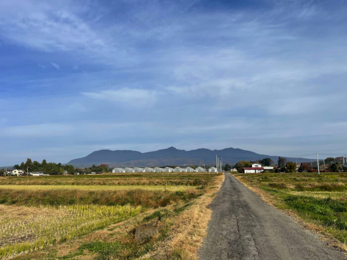 11月23日(木)　AM 8:46　前橋市苗ケ島町