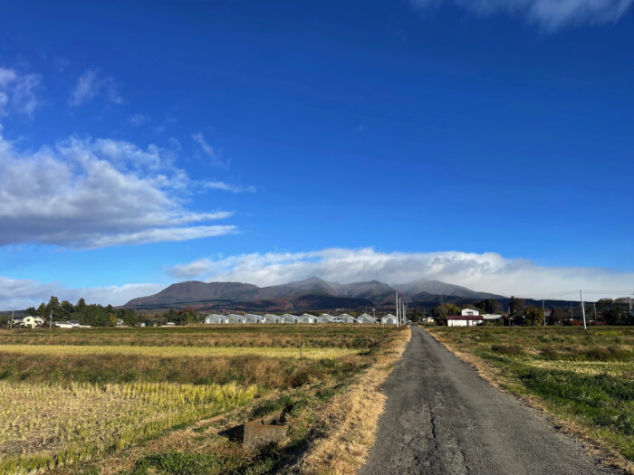 11月25日(土)　AM 8:07　前橋市苗ケ島町