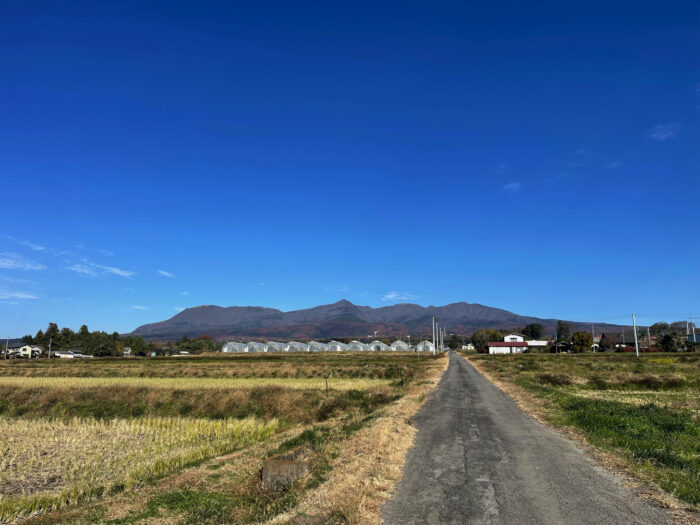 11月26日(日)　AM 9:36　前橋市苗ケ島町