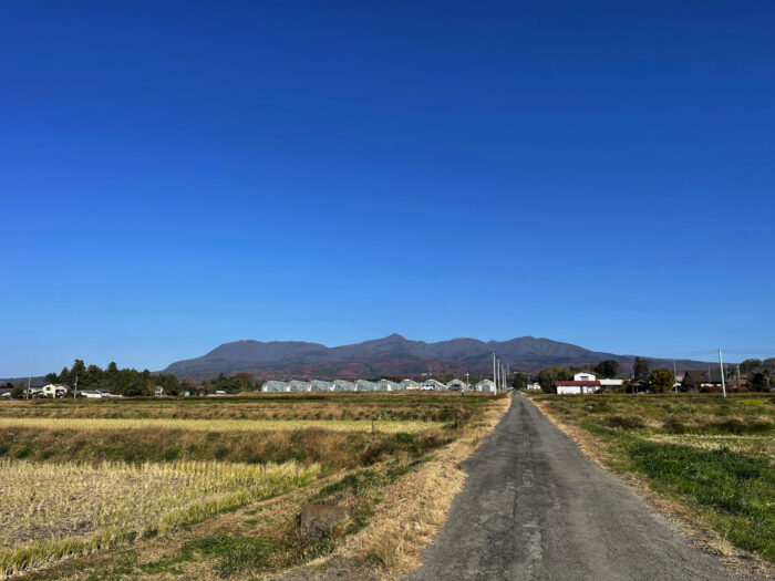 11月27日(月)　AM 9:22　前橋市苗ケ島町