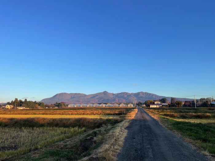 11月28日(火)　AM 7:01　前橋市苗ケ島町