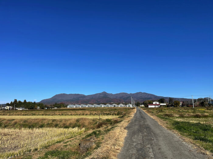 11月29日(水)　AM 9:33　前橋市苗ケ島町