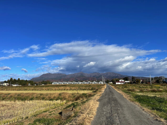 11月30日(木)　AM 8:46　前橋市苗ケ島町