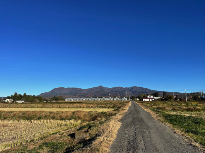 12月1日(金) AM 8:14 前橋市苗ケ島町