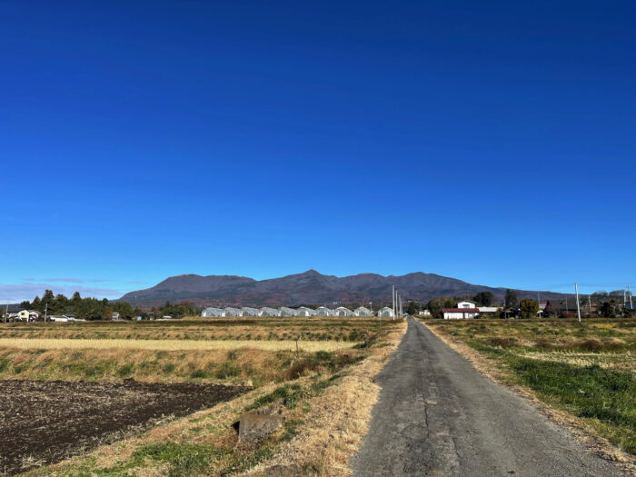 12月2日(土)　AM 8:11　前橋市苗ケ島町