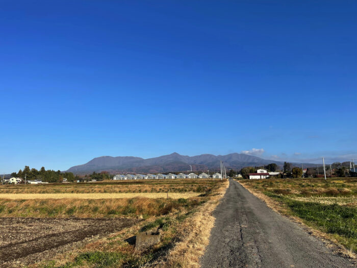 12月3日(日)　AM 8:22　前橋市苗ケ島町