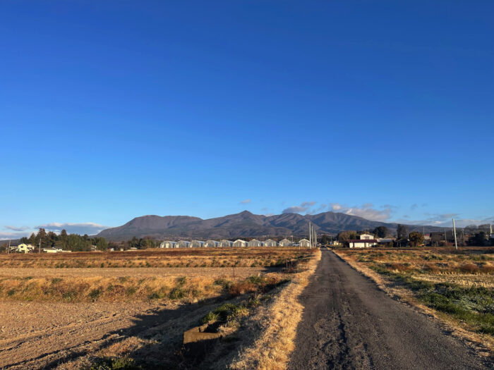 12月29日(金)　AM 7:42　前橋市苗ケ島町