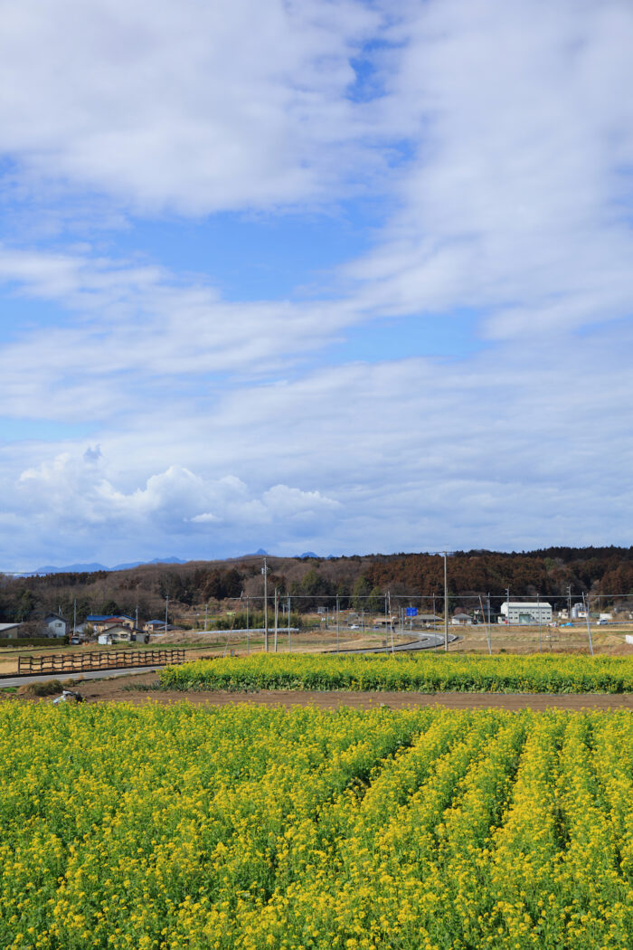 赤城南麓の春の風景