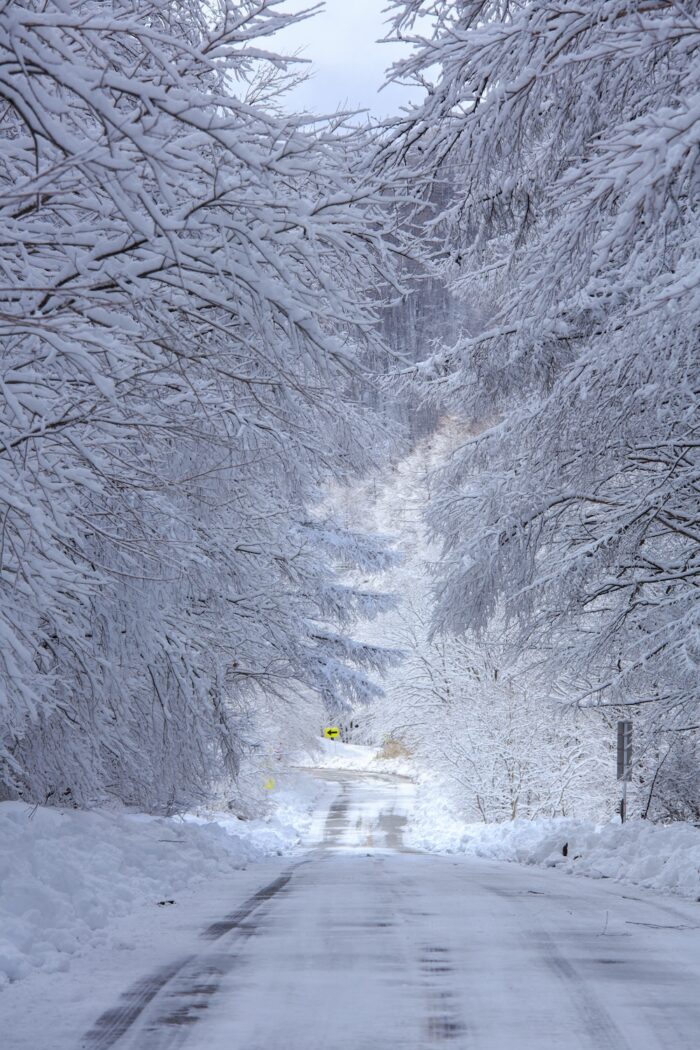 北面道路の雪景色