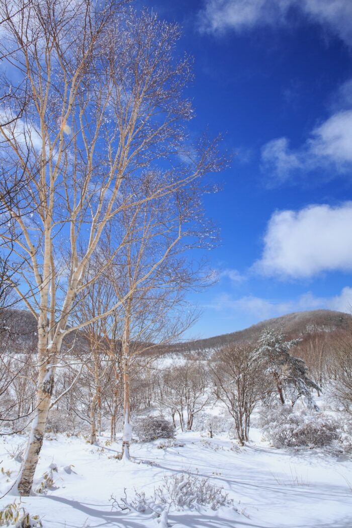 赤城小沼の雪景色　3/27撮影