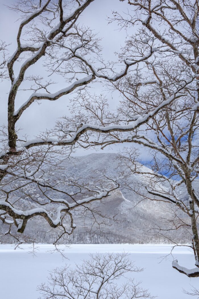 赤城大沼の雪景色　3/27撮影