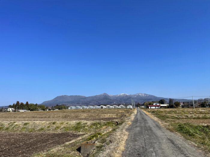 3月14日(木)　AM 9:09　前橋市苗ケ島町