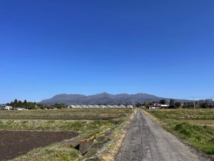 3月30日(土)　AM 8:52　前橋市苗ケ島町