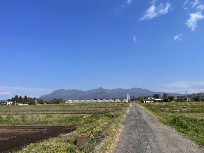 4月1日(月)　AM 9:17　前橋市苗ケ島町